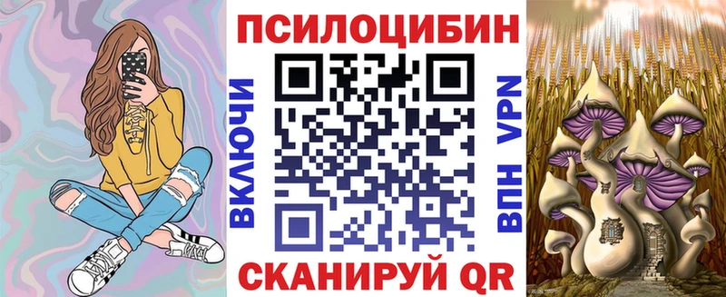 Псилоцибиновые грибы Cubensis  сколько стоит  Саки 